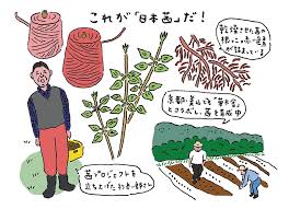 【掲載情報】七緒｜染め織りペディア４