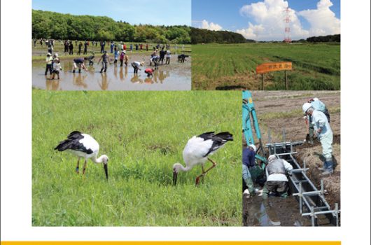 【掲載情報】グリーン・エージ 2021 年8 月号