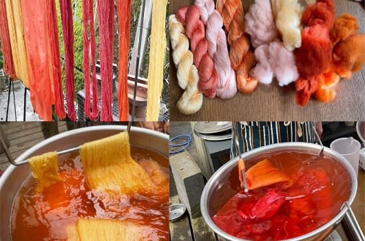 日本茜 出張講座 in 岡山【2021.09.18～19】