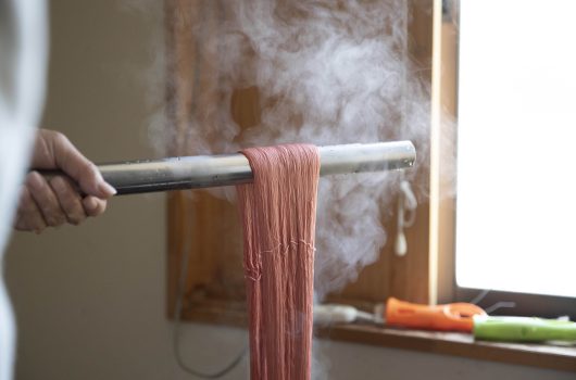 日本茜 染色インストラクター養成スクール【第2回】