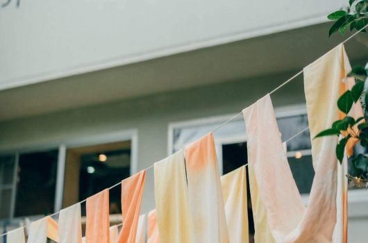 日本茜 染色ワークショップ in space.SUEMURA 【2022.05.29】