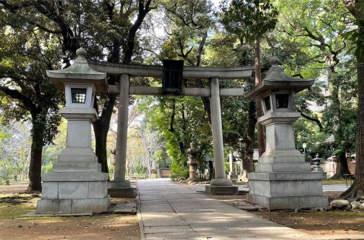 日本茜 出張染色ワークショップ in 赤坂氷川神社【2021.11.02】
