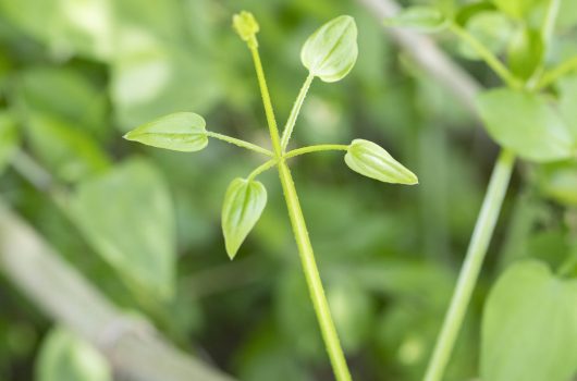 夏季休業期間のお知らせ