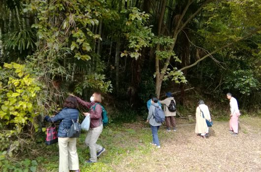 岸和田あかね街道散策ツアー【2021.11.06】