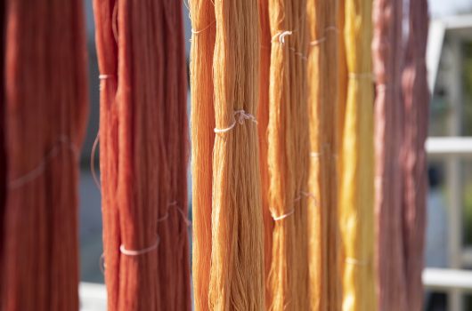 【活動情報】会員募集開始のお知らせ