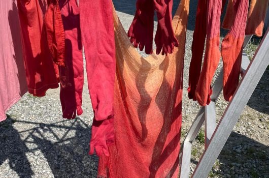 日本茜 染色ワークショップ【2022.05.18】