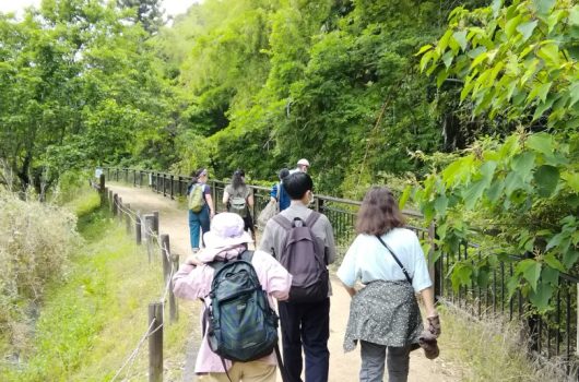 岸和田あかね街道散策ツアー【2022.06.11】