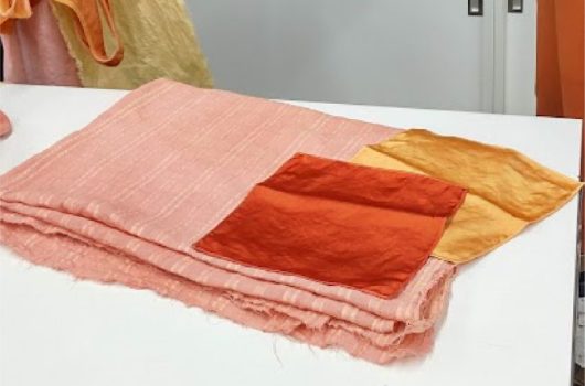 日本茜 染色ワークショップ【2022.08.17】